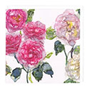 Card Pink Roses